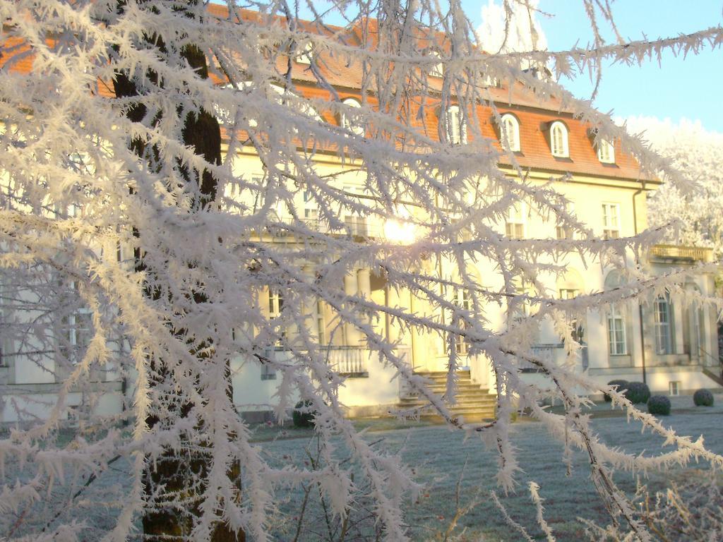 Hotel Schloss Storkau Zewnętrze zdjęcie